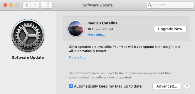 office 365 keeps asking for update after downgrading to 15 mac